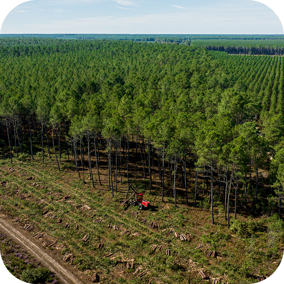 SLIDER_HOMEPAGE_Abis